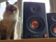 Edifier MR5 review: jam-packed active monitors that defy their size
