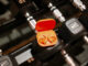 Beats Powerbeats Fit in their case.