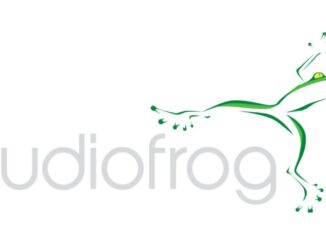 Audiofrog partners with Synergy Marketing Agency