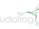 Audiofrog partners with Synergy Marketing Agency